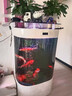美諾魚(yú)缸客廳免換水家用中小型智能1.2米雙圓形靠墻大型背濾金龍魚(yú)缸 白冰花【高清玻璃+顯示屏+魚(yú)缸大禮包】 80*50*138 曬單實(shí)拍圖