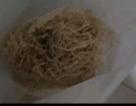 鮮窩窩 鹽漬海帶苗200g*5 火鍋食材新鮮嫩苗海帶芽絲結涼拌菜海洋蔬菜 曬單實(shí)拍圖