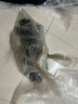 盛浪折疊椅辦公椅會議椅子電腦椅學習椅培訓椅無寫字板品質款黑色無輪 曬單實拍圖