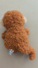 Jellycat小猴可愛(ài)公仔安撫玩具動(dòng)物毛絨玩偶陪伴娃娃生日新婚禮物 小猴 Little 曬單實(shí)拍圖