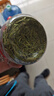 喜碧玻璃密封罐儲物罐泡酒容器玻璃瓶蜂蜜瓶果醬瓶泡菜壇潘1.1L+斯1L 曬單實(shí)拍圖