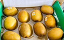 佳沛（zespri）新西蘭  陽(yáng)光金奇異果16粒禮盒經(jīng)典果單果約 77-103g 水果 獼猴桃 曬單實(shí)拍圖
