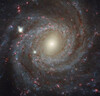 星特朗EQ3 901000大口徑升級長(cháng)焦款高清高倍觀(guān)星觀(guān)景專(zhuān)業(yè)級天文望遠鏡 曬單實(shí)拍圖