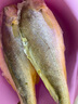 鴻順 寧德三去大黃魚(yú)700g/2條 去鱗去腮去內臟 黃花魚(yú) 魚(yú)類(lèi) 生鮮  曬單實(shí)拍圖