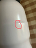 杯具熊（BEDDYBEAR）保溫杯帶提繩便攜316不銹鋼運動(dòng)水杯大容量學(xué)生杯子600ML酷洛米 曬單實(shí)拍圖
