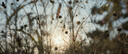 尼康（Nikon）【價(jià)保11.11】ZR全畫(huà)幅微單套機(jī)(Z 24-70mm f/4 S)4K數(shù)字電影攝影機(jī) RED專(zhuān)業(yè)電影機(jī) ZR套機(jī) 曬單實(shí)拍圖