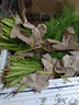 茗君鮮順豐包郵山東茴香菜新鮮茴香苗現摘頭茬葷香嫩葉小茴香餃子餡蔬菜 茴香2斤（順豐包郵） 曬單實(shí)拍圖