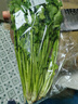 帶根香菜100g 曬單實(shí)拍圖
