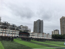 斯凱奇男裝POLO衫簡約字母印花運動短袖2025秋季新款男士Polo衫 曬單實拍圖