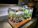 森森 小鯉魚(yú)缸過(guò)濾器凈水循環(huán)三合一內置水族箱過(guò)濾系統XQP-500F 6W 曬單實(shí)拍圖