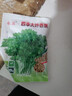 易發(fā)芽大葉香菜種子香菜籽耐熱四季陽(yáng)臺室內盆栽種籽蔬菜種子大全 四季大葉香菜約1000粒1包 曬單實(shí)拍圖