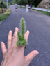 冰箱內側門(mén)收納盒分格分類(lèi)整理置物架食物蔬菜保鮮盒蔥姜蒜密封罐 冰箱擴容神器 6個(gè)裝 曬單實(shí)拍圖