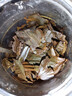 老季直銷(xiāo):一次品嘗九種精品紅茶 足足三斤 顆顆嫩芽 還包郵到家 九桶八袋送茶餅1530g和精美茶具 曬單實(shí)拍圖
