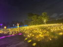 中國電信流量卡純流量上網(wǎng)卡全國無(wú)限流量電話(huà)卡手機卡高速不限速4g5g大王卡本地星卡 電信爆款卡:19元185G流量+首月免費++高速率 曬單實(shí)拍圖