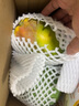 京鮮生 攀枝花凱特芒果 凈重4.5斤 單果300g+ 生鮮水果源頭直發(fā) 曬單實(shí)拍圖