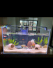 吉印刀鋒s魚(yú)缸燈led燈防水全光譜魚(yú)缸照明燈水草燈小型超白魚(yú)燈56cm 曬單實(shí)拍圖