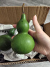 臨雅翡翠葫蘆擺件云南天然新鮮佛手柑鮮果植物觀(guān)賞桌面福祿聞香櫞托盤(pán) 翡翠葫蘆小號1個(gè) 曬單實(shí)拍圖