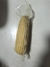 北緯媽咪白糯玉米3.2斤（200g*8穗）東北鮮甜黏粘糯玉米棒真空包裝 曬單實(shí)拍圖