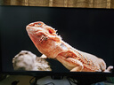 FFALCON雷鳥U6 27英寸4K QD-MiniLED辦公顯示器 HDR600 Type-C 65W 專業(yè)MAC模式 護眼認證 旋轉(zhuǎn)升降顯示屏 曬單實拍圖
