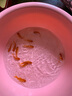 觀(guān)賞魚(yú)紅草金魚(yú)冷水魚(yú)金魚(yú)小魚(yú)活魚(yú)小寵物好養耐活闖缸練手飼料魚(yú) 草金魚(yú)十條+2條備損 3-5cm 曬單實(shí)拍圖