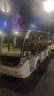 巴城電動(dòng)觀(guān)光車(chē)四輪景區旅游觀(guān)光8-14-20-23座車(chē)看房接待旅游擺渡機場(chǎng)售樓車(chē) 顏色定制配件專(zhuān)發(fā)【聯(lián)系客服】 曬單實(shí)拍圖