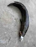 魚(yú)誘釣巨物專(zhuān)用餌血蠶蛹新型釣魚(yú)餌料海竿磯筏釣巨物黑坑野釣海釣餌料 三瓶【買(mǎi)二送一】上一條就是賺 曬單實(shí)拍圖