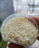 英氏嬰幼兒有機胚芽米營(yíng)養米糊煮粥米寶寶嬰幼兒輔食面 有機胚芽米245g 曬單實(shí)拍圖