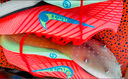 耐克男子輕便田徑釘鞋冬季短跑緩震運動(dòng)跑步NIKE MAXFLY 2 FD8395 600亮深紅/水洗珊瑚紅/爆炸綠黃 41 曬單實(shí)拍圖