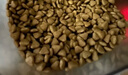 皇家室內成貓糧 I27 通用糧 12月以上 2KG 曬單實(shí)拍圖