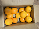 集南鮮贛南臍橙 江西贛州橙子 當季新鮮現摘水果臍橙 源頭產(chǎn)地直發(fā) 【特級橙】彩箱10斤 單果80-90mm 凈重9斤 曬單實(shí)拍圖