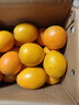 田拾記正宗贛南早臍橙【多地次日達】江西贛州直發(fā)新鮮橙子應季水果禮盒 10斤家庭裝【高性?xún)r(jià)比】?jì)?斤 【精選橙】單果180-200g（多汁爽口） 曬單實(shí)拍圖