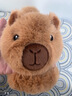 VOEDOOU可愛(ài)卡通卡皮巴拉冬季保暖耳罩兒童男耳捂子女生耳套暖包折疊毛絨 本熊色 12*20cm 曬單實(shí)拍圖