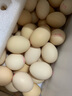 黃天鵝可生食雞蛋30枚/3.18斤PLUS定制禮盒裝京東自營(yíng)無(wú)抗生素 中秋禮盒 曬單實(shí)拍圖