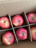 京地達(dá)洛川蘋果凈重8.5斤單果200g+陜西紅富士蘋果水果源頭直發(fā)包郵 曬單實(shí)拍圖