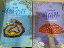 DK珍奇博物館（礦物+真菌）（全2冊）   英國DK公司著(zhù) DK珍奇博物館系列  6歲以上 兒童科普讀物 曬單實(shí)拍圖