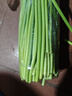 新鮮長(cháng)蒜苔30cm長(cháng)度粗細適中色澤飽滿(mǎn)高品質(zhì)生鮮蒜苔 蒜臺2斤 曬單實(shí)拍圖
