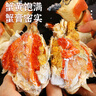 面包蟹母鮮活熟凍大螃蟹海蟹新鮮海鮮水產(chǎn)生鮮黃金蟹珍寶蟹凈重 800-1000g*1只【超大滿(mǎn)黃】 曬單實(shí)拍圖