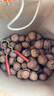 鮮級佳大涼山新鮮濕核桃去青皮嫩核桃老樹薄紙皮核桃孕婦專用生核桃新貨 【人工去青皮】凈重5斤精品裝 曬單實拍圖