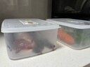 家の物語(yǔ)冰箱收納盒日本進(jìn)口保鮮盒食品級密封水果盒冷凍餃子廚房收納神器 冰箱保鮮盒（日本制） 3L 3件套 曬單實(shí)拍圖