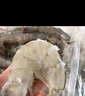 北海灣 蝦 青島大蝦鮮活冷凍基圍蝦 蝦類(lèi) 海鮮水產(chǎn)生鮮白蝦青蝦海蝦對蝦 氣凍大蝦 3斤(凈重)  15-17cm【單只凍 無(wú)冰衣】 曬單實(shí)拍圖