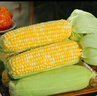 京鮮生云南水果玉米5斤 鮮甜玉米棒 甜脆多汁 新鮮蔬菜 源頭直發(fā)包郵 曬單實(shí)拍圖