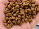 澳龍泌尿處方糧貓尿閉尿血尿結石貓膀胱炎全價(jià)泌尿道處方糧貓糧1.2kg 曬單實(shí)拍圖