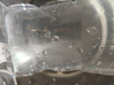 寵小俠孔雀魚(yú)活魚(yú)觀(guān)賞魚(yú)純種小型熱帶魚(yú)活體淡水好養耐活魚(yú)苗觀(guān)賞魚(yú)小魚(yú) 6條練手孔雀2-3cm 【練手特惠】 曬單實(shí)拍圖
