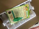 北森南嶼四川浦江黃心獼猴桃奇異果水果新鮮 當季現摘 時(shí)令水果催熟食用 黃心獼猴桃小果10枚【約50-70g/枚】 曬單實(shí)拍圖
