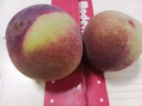 時(shí)寐山東青州蜜桃脆桃小毛桃新鮮桃子毛桃甜桃青桃孕婦脆甜應季水果 5斤 果農精選大果精選裝 曬單實(shí)拍圖