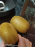 佳沛（zespri）新西蘭  陽(yáng)光金果18粒原箱單果重173-204g 獼猴桃 中秋水果禮盒 曬單實(shí)拍圖