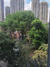 吉列刀片 適配鋒速3經(jīng)典 剃須刀片 吉列刀頭 進(jìn)口原裝12刀頭 非吉利 曬單實(shí)拍圖