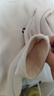 左西女童打底衫半高領(lǐng)兒童長(cháng)袖T恤秋冬2025新款女孩保暖內搭 米白 160 曬單實(shí)拍圖