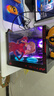 華碩全家桶【24期免息】RTX/5070/5060Ti/5060顯卡14600KF/230F臺式整機明日香mod機箱組裝電腦DIY主機 i5 12400F+華碩RTX5060 配置一 曬單實(shí)拍圖