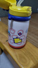 babycare兒童水杯6個(gè)月以上寶寶霸王龍不銹鋼保溫杯上學(xué)450ml-新舊款混發(fā) 曬單實(shí)拍圖